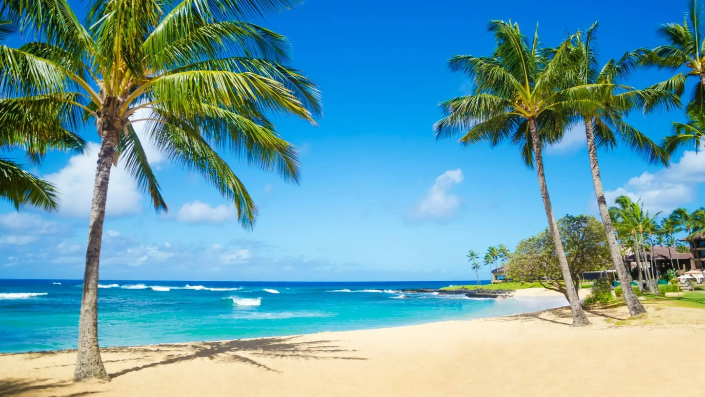 Content Edition Hawaii
