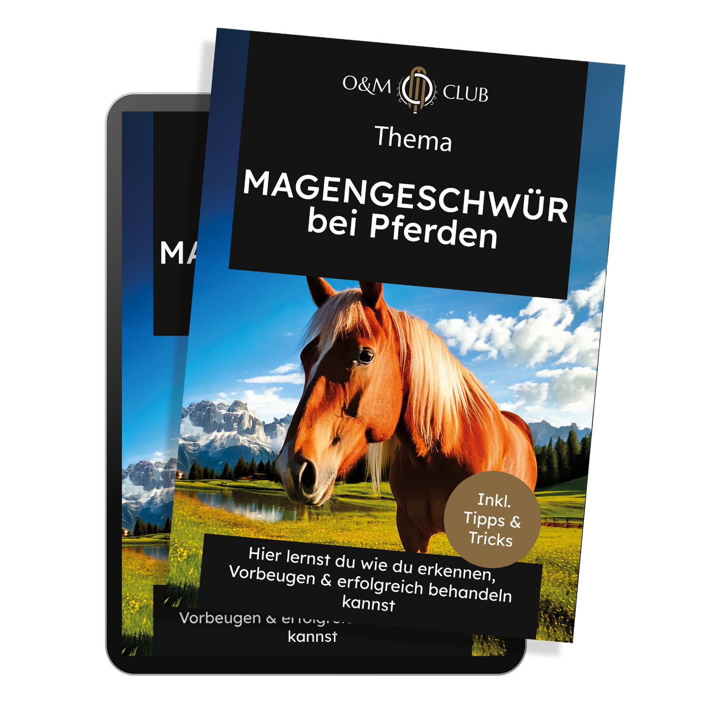 Pferdegesundheit E-Book